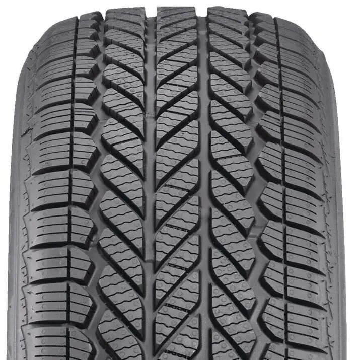 Bridgestone Weatherpeak 225/55R19