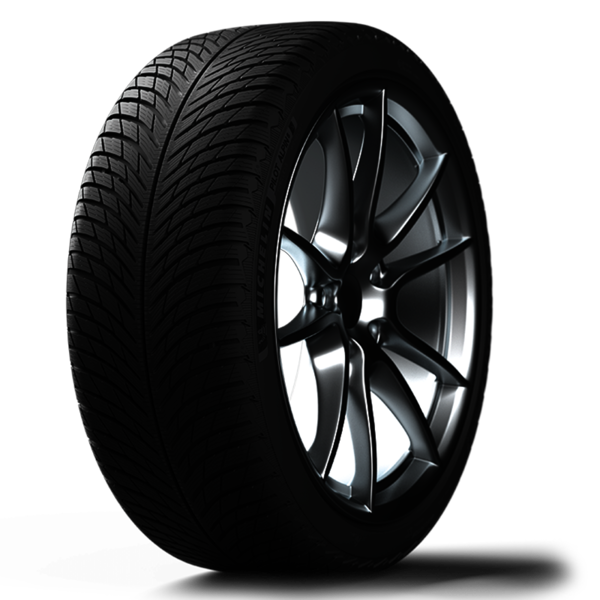 Michelin PILOT ALPIN 5 255/45R20