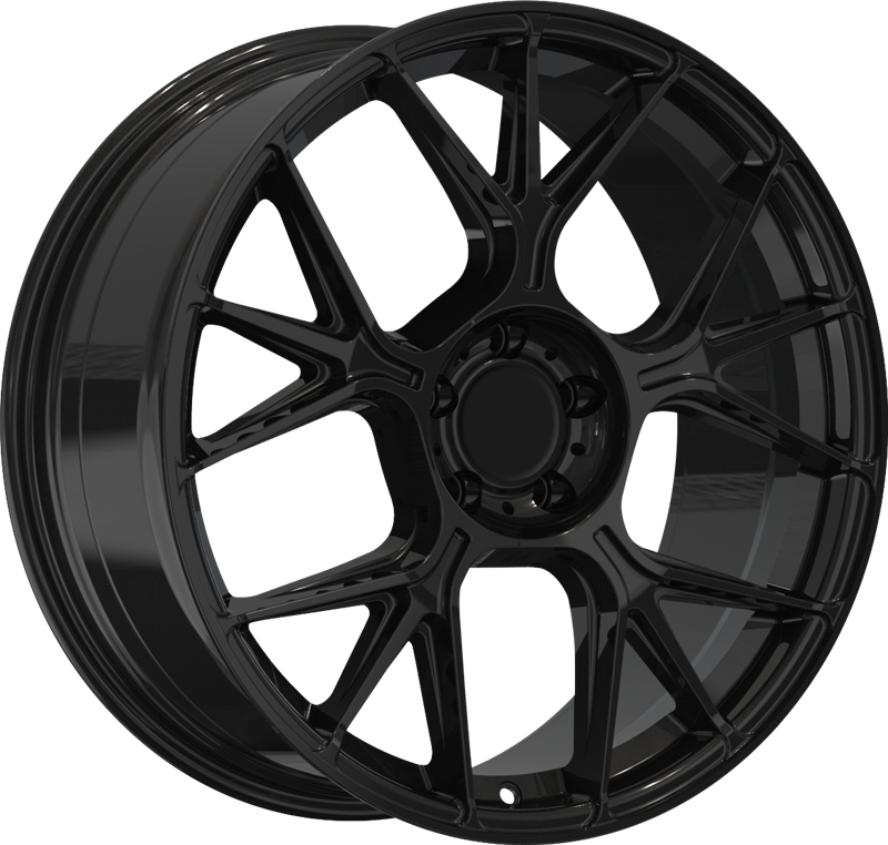 SN81